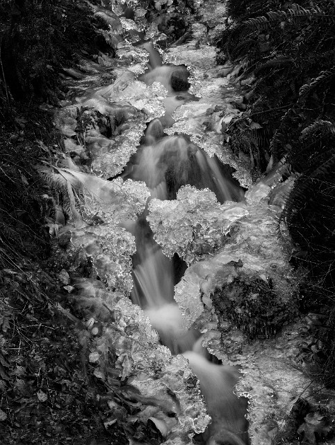 Highway Stream Ice 15-5681 bw.jpg